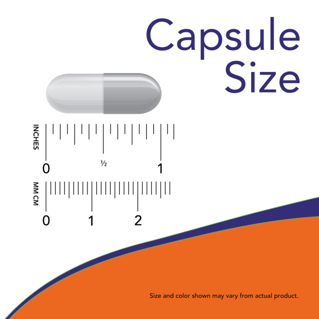 Now CARNITINE 500mg 90 VCAPS