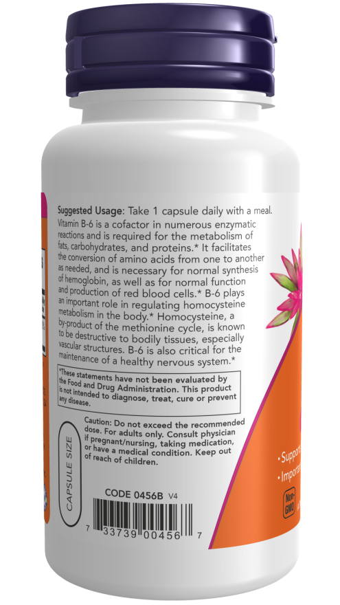 Now B-6 100mg 100 VCAPS