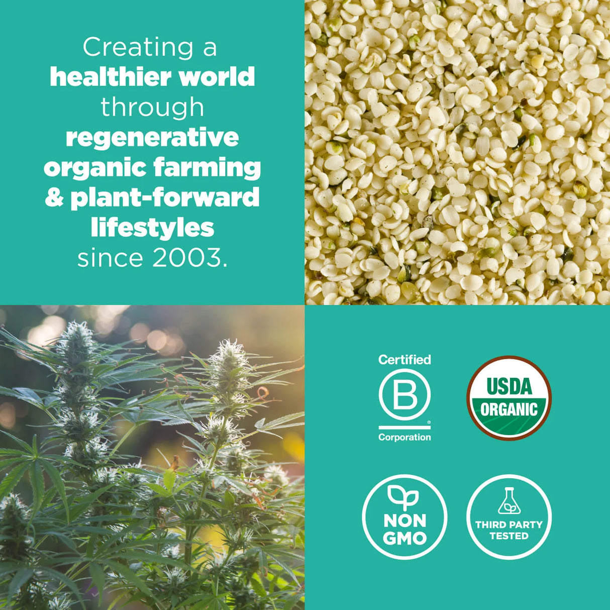 NAVITAS NATURALS Hemp Seeds Shelled