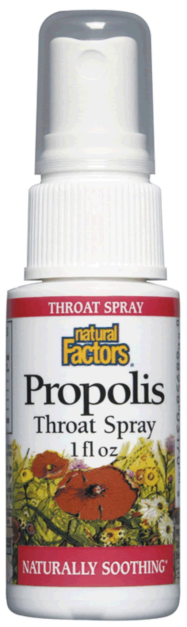 Natural Factors BEE PROPOLIS THROAT SPRAY 1/OZ
