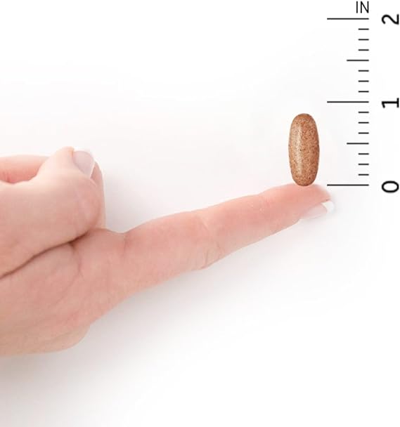 Garden of Life GOL Organics Mens Once Daily 60ct TABLETS