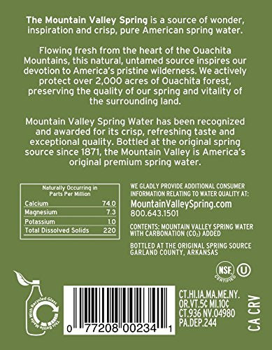MOUNTAIN VALLEY SPRING WATER Premium Sparkling, Glass 1 LTR
