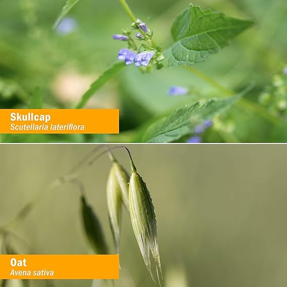 Herb Pharm NERVOUS SYSTEM TONIC 4 oz