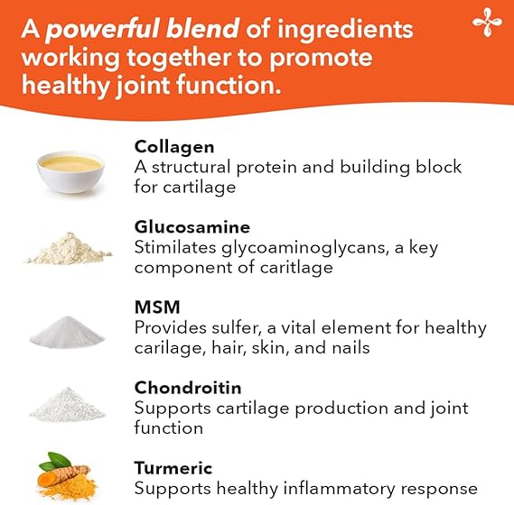 Life Seasons Mobili-T