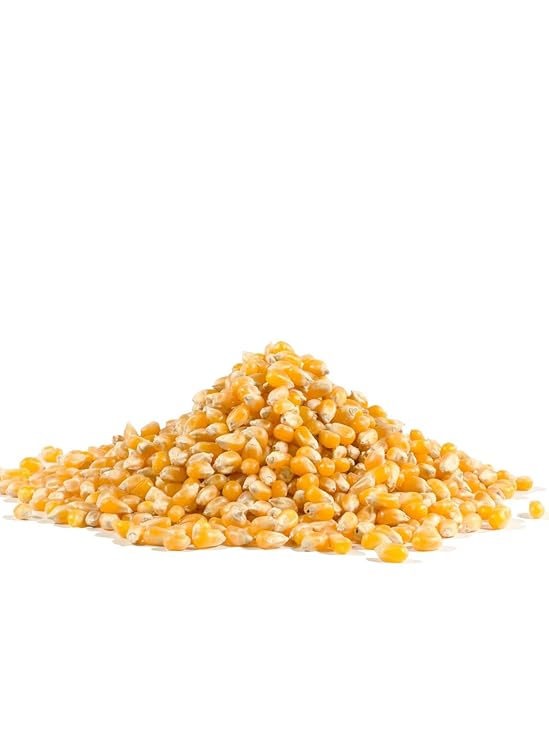 BOB`S RED MILL Yellow Popcorn 30 OZ