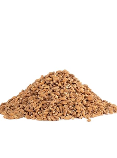 BOB`S RED MILL Farro 24 OZ