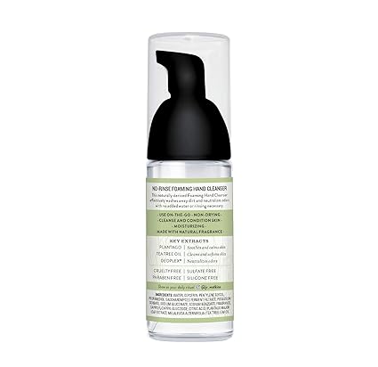 J.R. WATKINS NO-RINSE FOAMING HAND CLEANSER LEMONGRASS 1.6 FLOZ