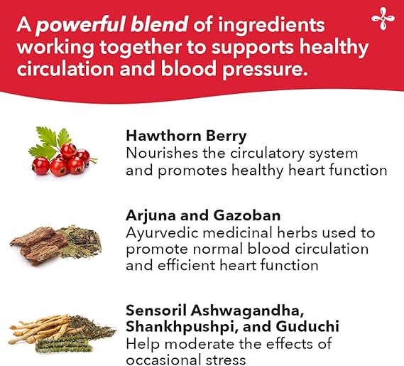 LifeSeasons B/P Stabili-T