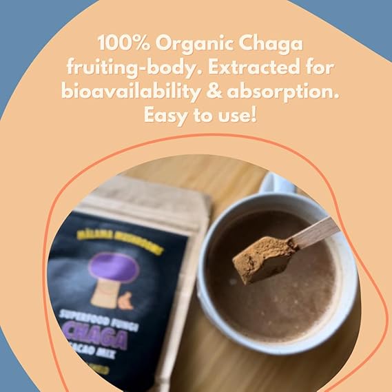 Superfood Fungi CHAGA Cacao Mix