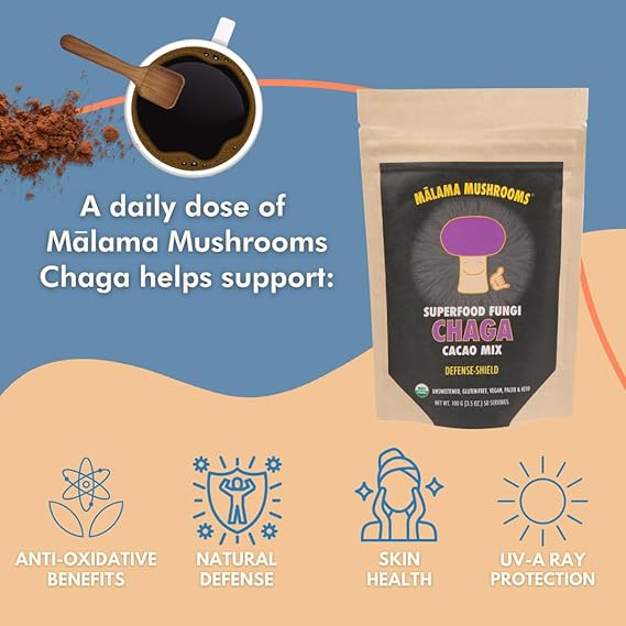 Superfood Fungi CHAGA Cacao Mix