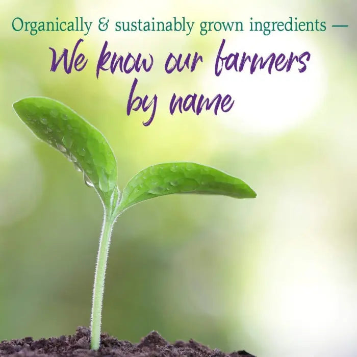 Garden of Life Super Seed 200g POWDER