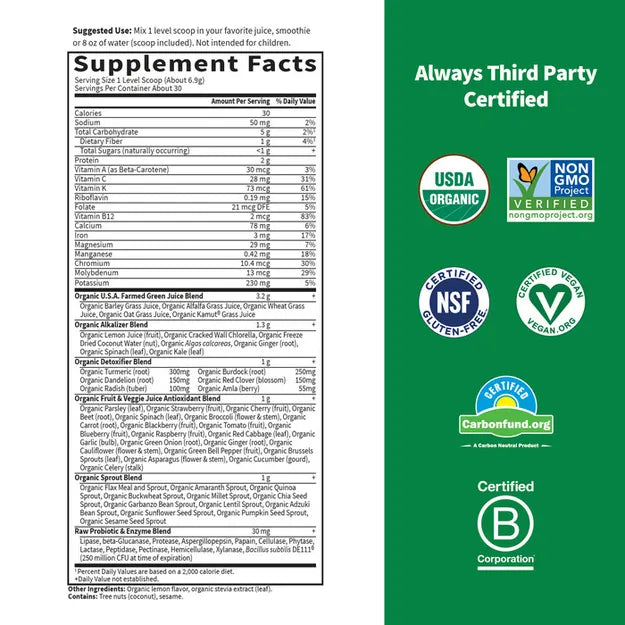 Garden of Life Raw Organic Perfect Food Alkalizer and Detoxifier Lemon-Ginger 282g POWDER