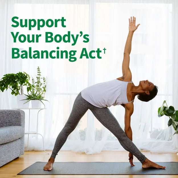 Garden of Life Raw Organic Perfect Food Alkalizer and Detoxifier Lemon-Ginger 282g POWDER