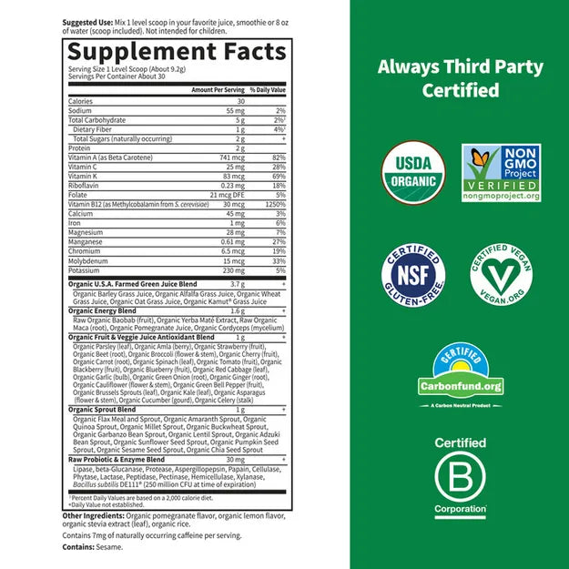 Garden of Life Raw Organic Perfect Food Energizer Yerba Mate Pomegranate 276g POWDER