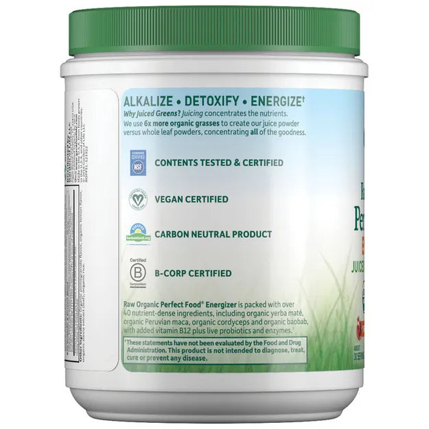 Garden of Life Raw Organic Perfect Food Energizer Yerba Mate Pomegranate 276g POWDER