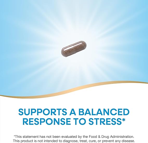 Ashwagandha Premium Extract 60 Vegan Capsules