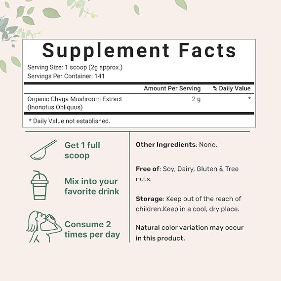 Superfood Fungi CHAGA Powder Extract