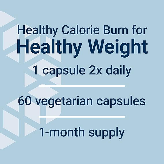 Life Extension DHEA 100 mg 60 Vegetarian Capsules