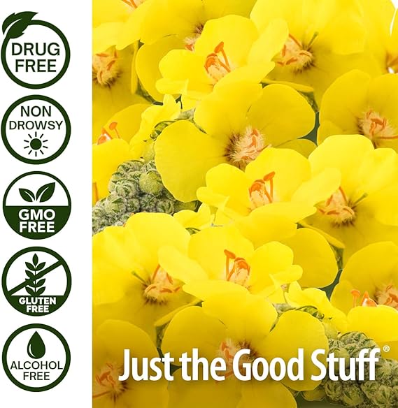 NATURE'S ANSWER MULLEIN-X COUGH KIDS 4OZ