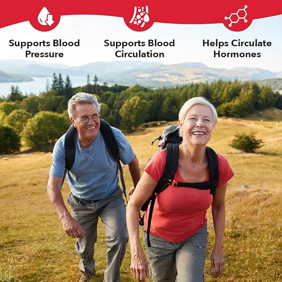 LifeSeasons B/P Stabili-T