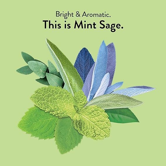 CHOICE ORGANIC TEAS Mint Sage Tea 16 BAG