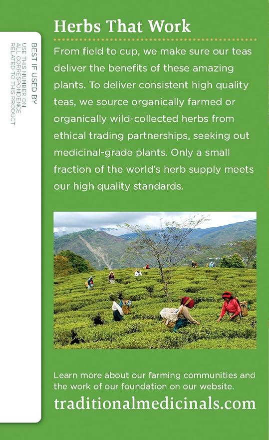 TÉ ORGÁNICO DE TÉ VERDE Y DIENTE DE LEÓN TRADITIONAL MEDICINALS, 16 BOLSITAS