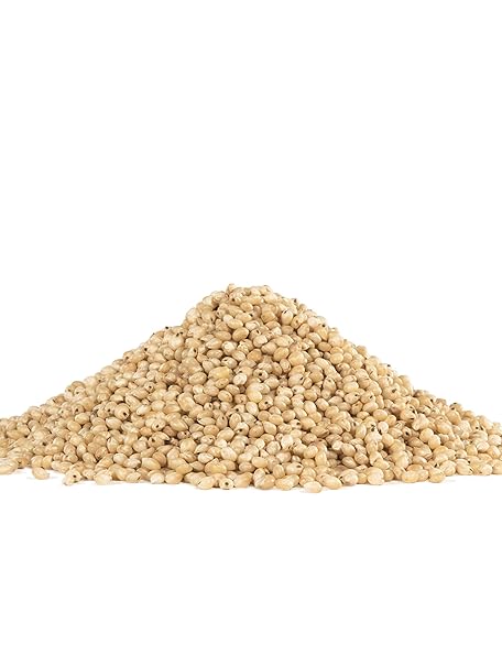 BOB`S RED MILL Sorghum, GF 24 OZ