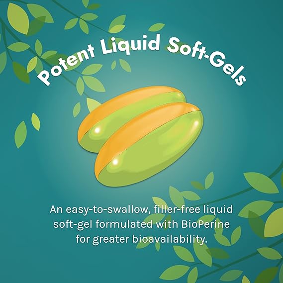 Irwin Naturals Double-Potency Ginkgo Biloba 60 Soft Gels