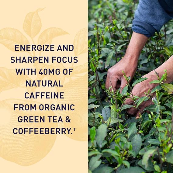 Garden of Life GOL Organics Apple Cider Vinegar Energy 63ct GUMMY