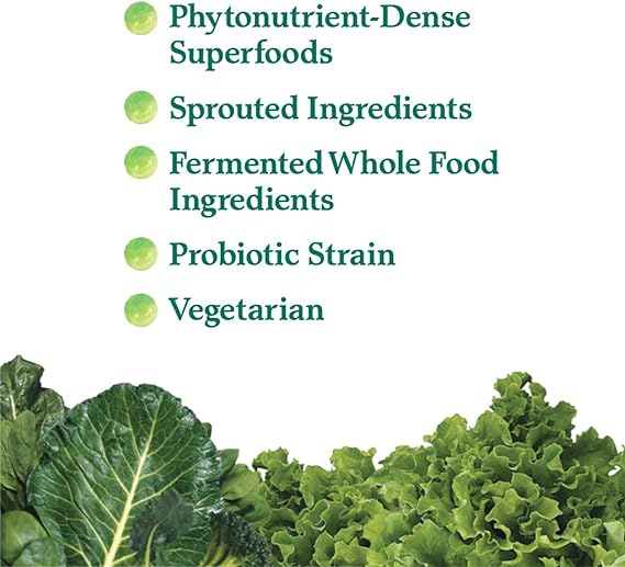 Garden of Life Perfect Food 300g POWDER