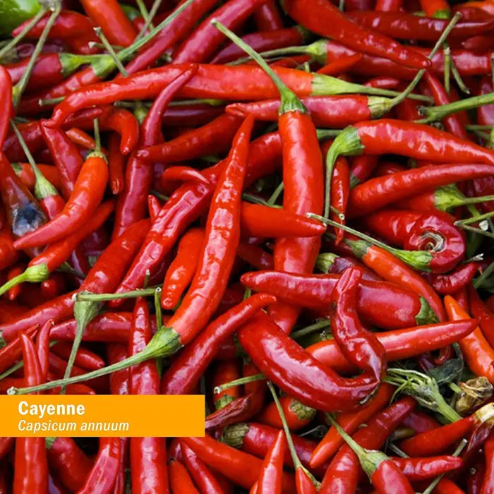 Herb Pharm CAYENNE EXTRACT 1 oz