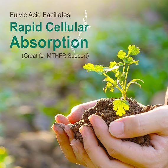 Super Multi Liquid Multivitamin With Fulvic Minerals 32 fl oz