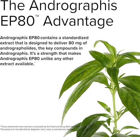 Anrdrographis EP80 - Extra Strength