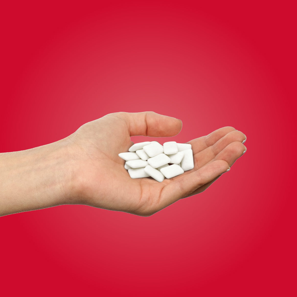 PUR GUM Cinnamon 9 Pieces