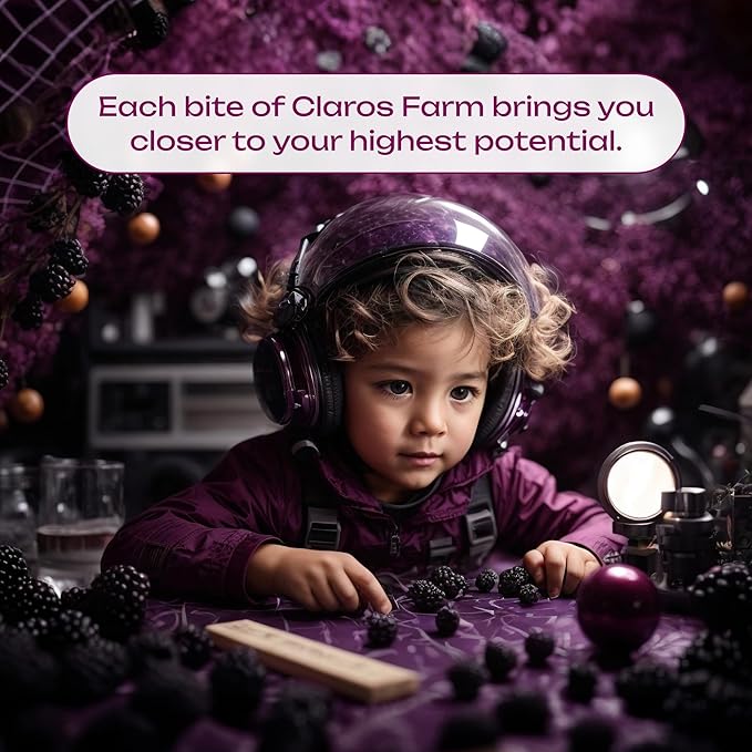 CLAROS FARM Dried Fruit Blackberries 1.06 OZ