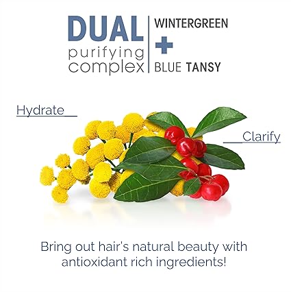 Giovanni 2Chic Clarifying & Calming Conditioner