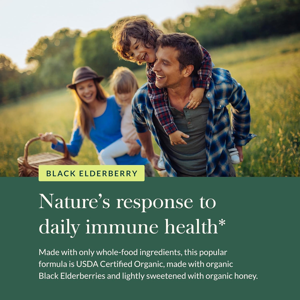 Gaia Herbs Black Elderberry Syrup - Extra Strength (COG) 5.4 oz