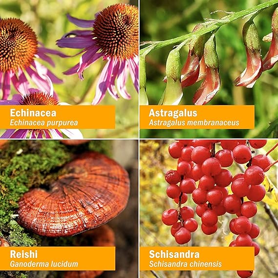 Herb Pharm DAILY IMMUNE BUILDER (Immune Defense) 2 oz