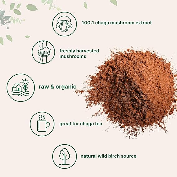 Superfood Fungi CHAGA Powder Extract