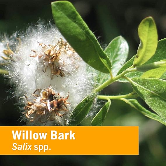 Herb Pharm WILLOW BARK EXTRACT 1 oz
