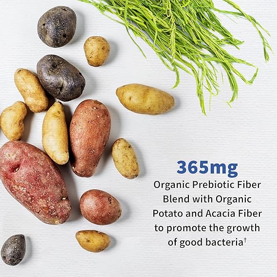 Garden of Life Dr. Formulated Probiotics Once Daily Mens SHELF 30ct CAPSULES