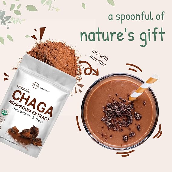 Superfood Fungi CHAGA Powder Extract