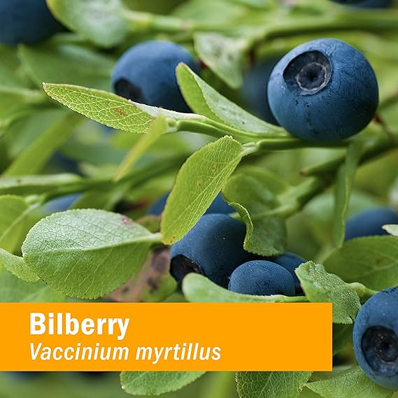 Herb Pharm BILBERRY 1 oz
