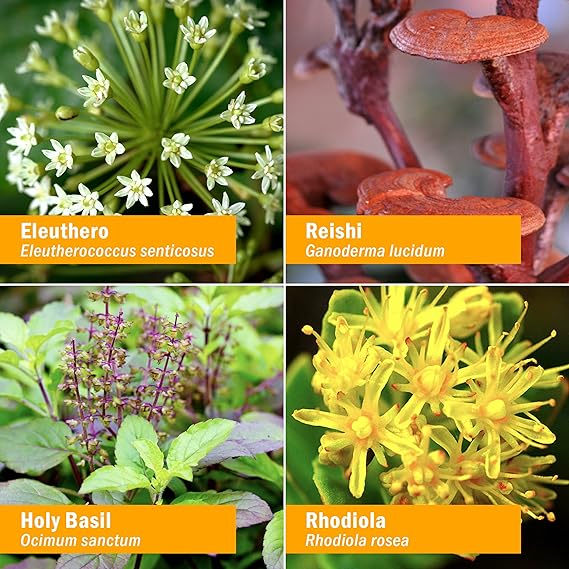 Herb Pharm STRESS MANAGER 4 oz