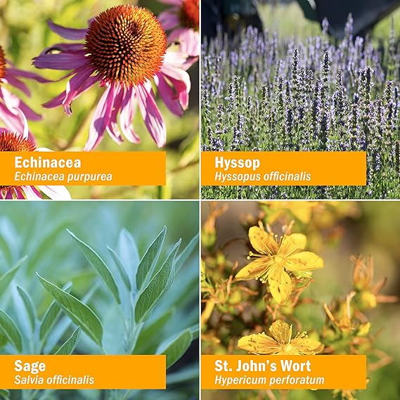 Herb Pharm SOOTHING THROAT SPRAY 1 oz