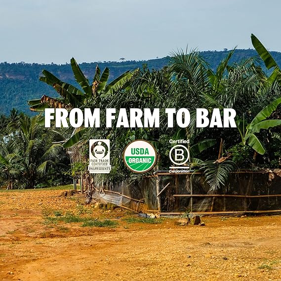 TCHO CHOCOLATE Dark & Salty Singles .83 OZ