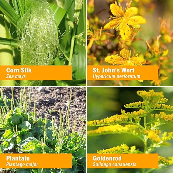 Herb Pharm CALM BLADDER 1 oz