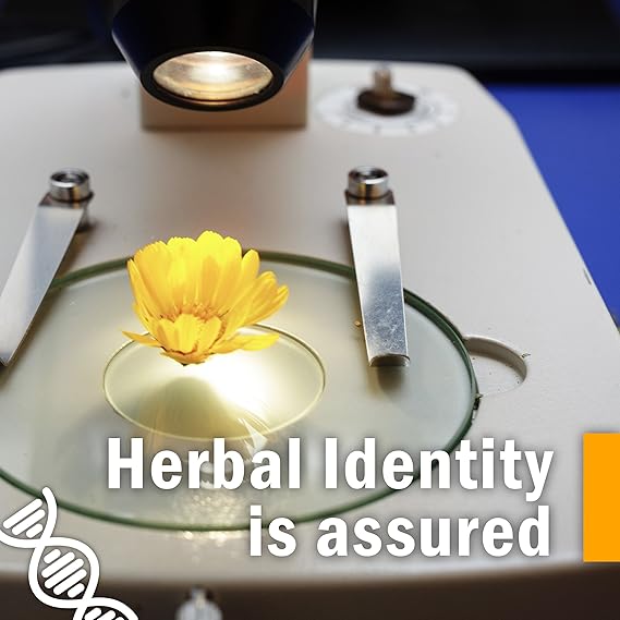 Herb Pharm GUM GUARDIAN 1 oz