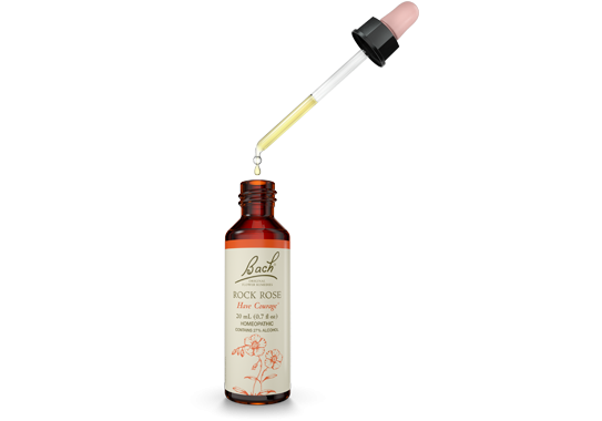 Bach ROCK ROSE Have Change