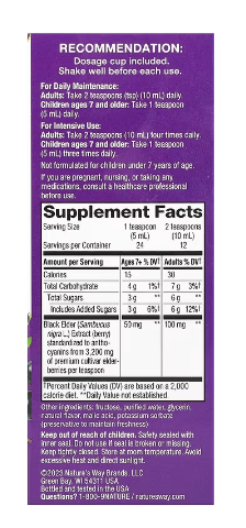 Nature's Way Sambucus Original Syrup 8 Fl Oz